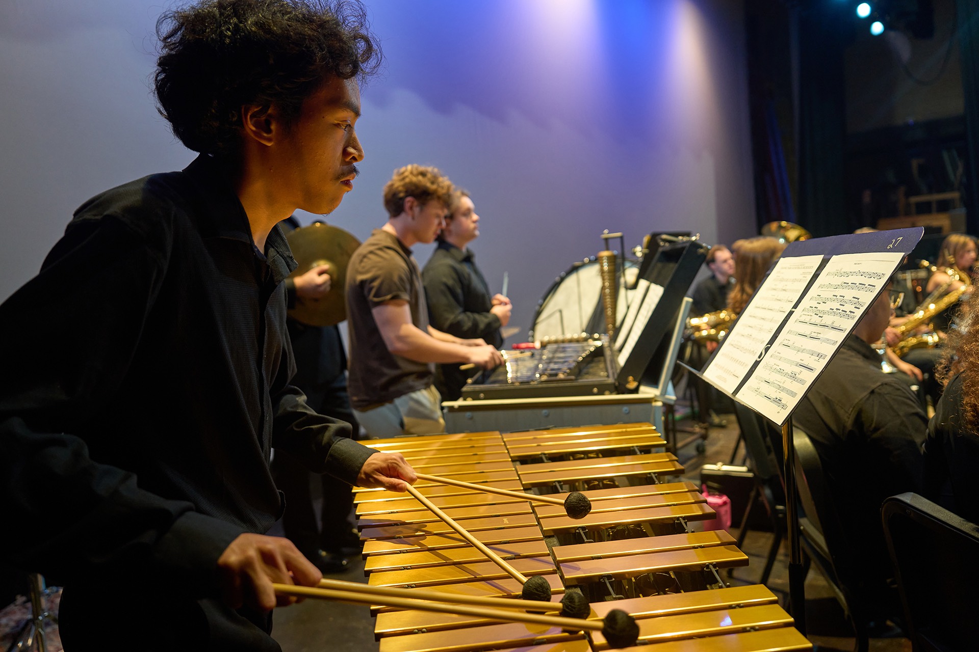 Male percussionist performing at a concert