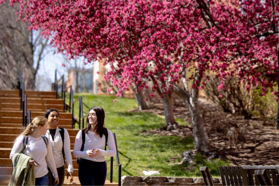 Three students smile and talk as they walk past pink flowering trees.